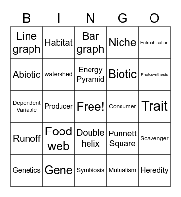 Review Bingo Card