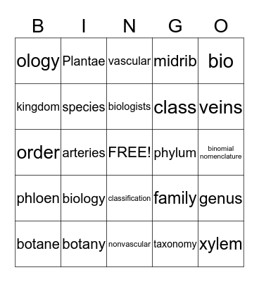 Botany  (lesson 1) Bingo Card