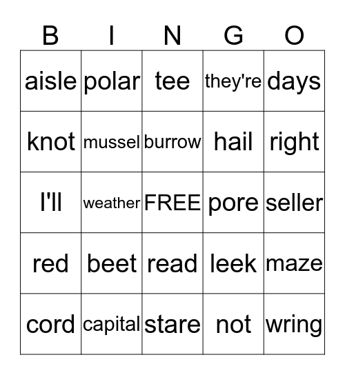 Homophones Bingo Card