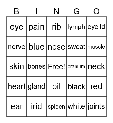 Miss D's  Bingo Card