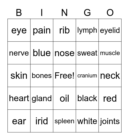 Miss D's  Bingo Card