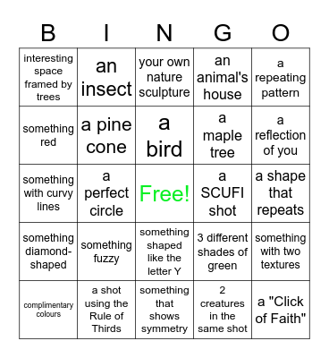 Focus on Nature BINGO! Take a picture of... Bingo Card