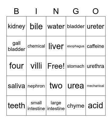 Science Review Bingo Card