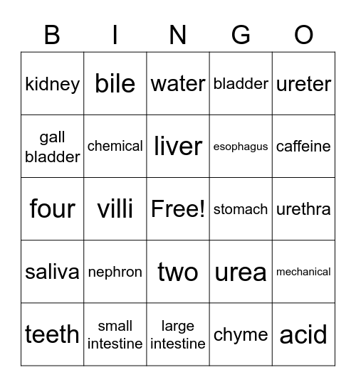 Science Review Bingo Card