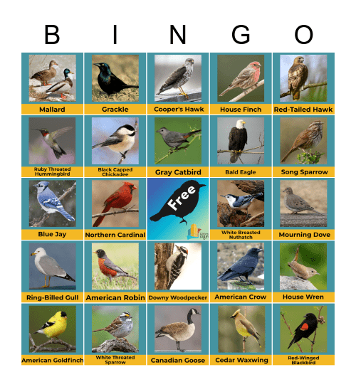 Birdwatching Bingo in the Elgin Area Bingo Card
