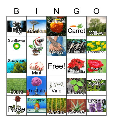 NYBG Plant Bingo: Culture Bingo Card