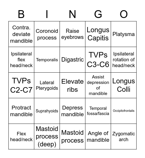 TG Ch. 5 Muscles Bingo Card