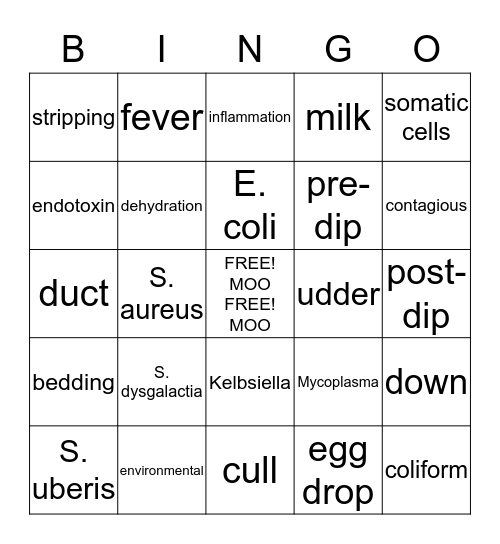MASTITIS Bingo Card