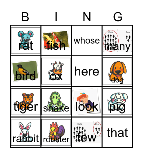 Animals review Bingo Card