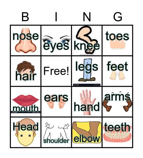 Body Part Bingo Card