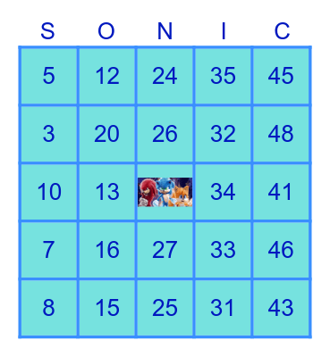 SONIC BINGO! Bingo Card