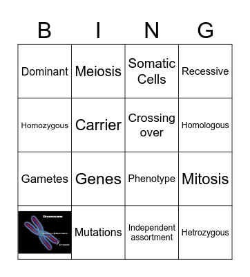 Genetics Bingo Card