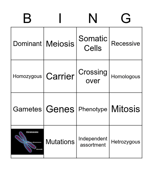 Genetics Bingo Card