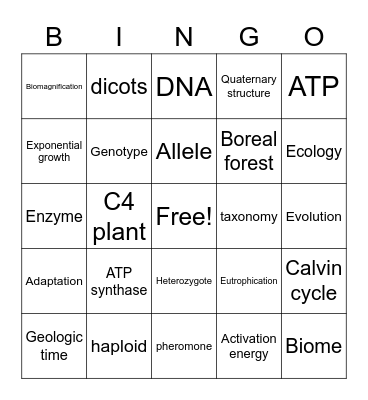 Biology! Bingo Card