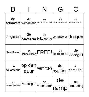 taalactief thema 2 groep 7 Bingo Card