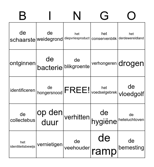 taalactief thema 2 groep 7 Bingo Card