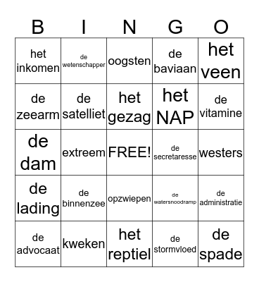 lezen in beeld blok 2 groep 7 Bingo Card