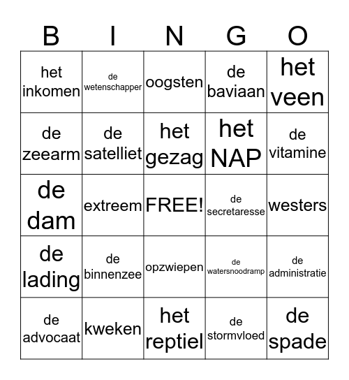 lezen in beeld blok 2 groep 7 Bingo Card