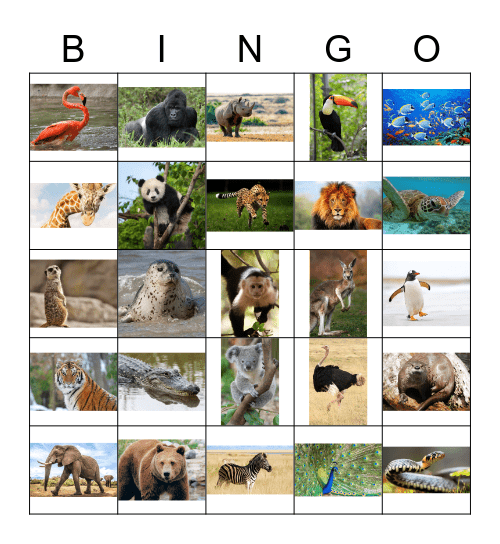 Zoo Animal Bingo Card