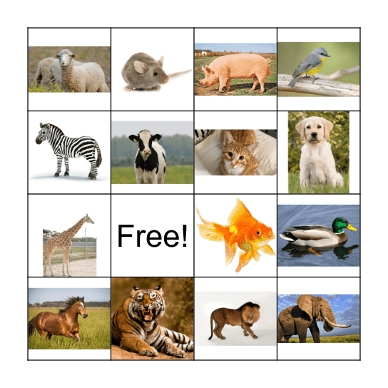 Animal Bingo Card