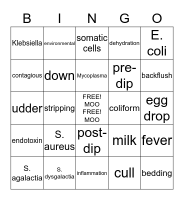 MASTITIS Bingo Card