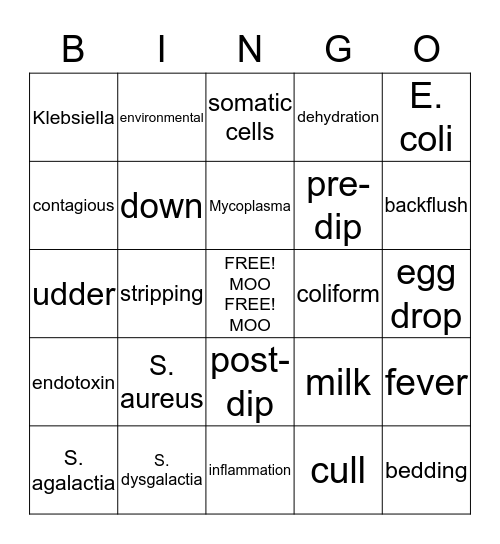 MASTITIS Bingo Card