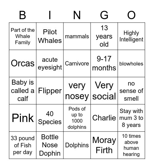 Dolphins Bingo Card