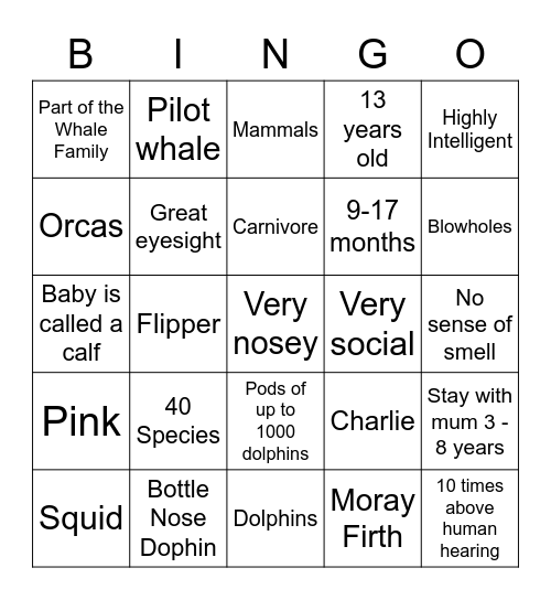 Dolphins Bingo Card