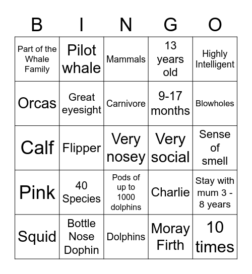 Dolphins Bingo Card