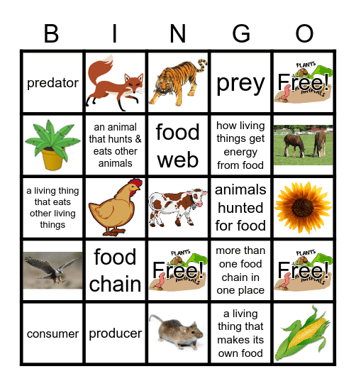 Plants and Animals Vocabulary Bingo Card