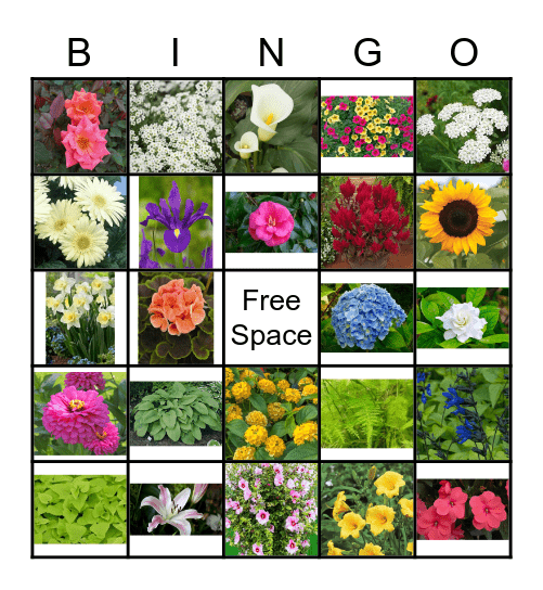 Flower Bingo Card