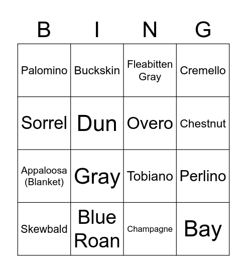 Horse Colors Bingo Card