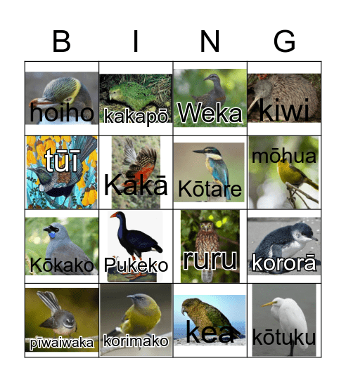 NZ Native Birds Bingo Card