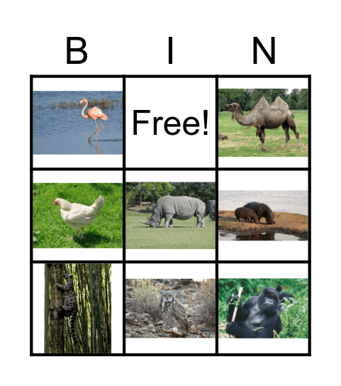 Animal Bingo Card