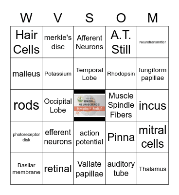 JUST SAY KNOW to NEUROSCIENCE Bingo Card