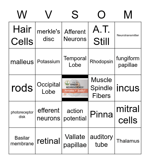 JUST SAY KNOW to NEUROSCIENCE Bingo Card