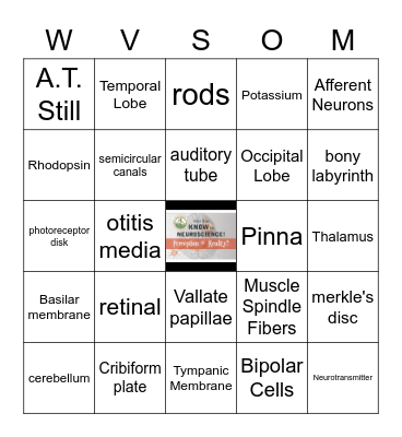 JUST SAY KNOW to NEUROSCIENCE Bingo Card