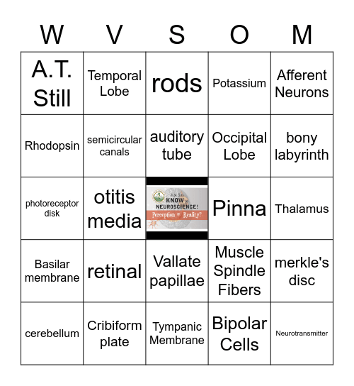 JUST SAY KNOW to NEUROSCIENCE Bingo Card