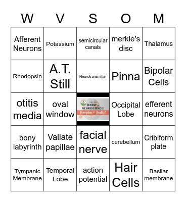 JUST SAY KNOW to NEUROSCIENCE Bingo Card