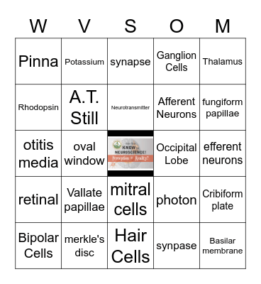 JUST SAY KNOW to NEUROSCIENCE Bingo Card