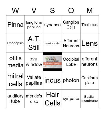 JUST SAY KNOW to NEUROSCIENCE Bingo Card