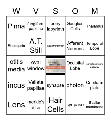 JUST SAY KNOW to NEUROSCIENCE Bingo Card