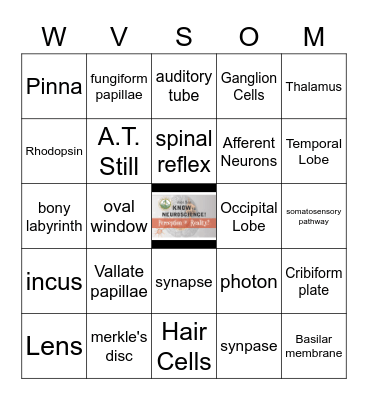 JUST SAY KNOW to NEUROSCIENCE Bingo Card