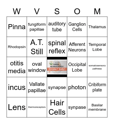 JUST SAY KNOW to NEUROSCIENCE Bingo Card