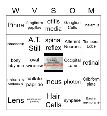 JUST SAY KNOW to NEUROSCIENCE Bingo Card