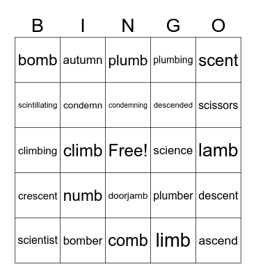 Silent letters- mb, mn, sc Bingo Card
