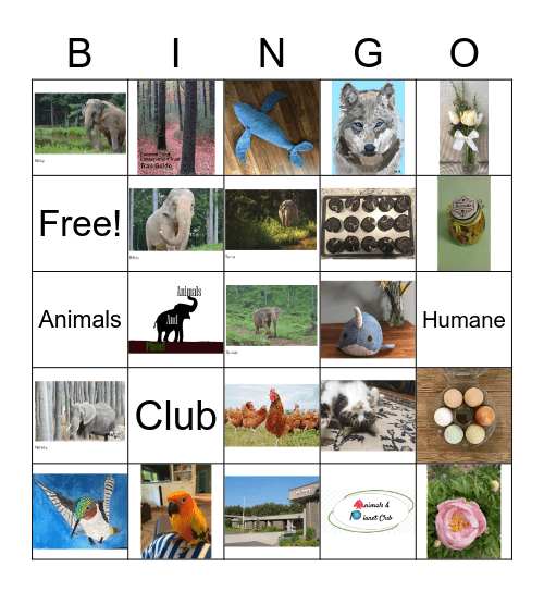 Animals and Planet Club Bingo Card