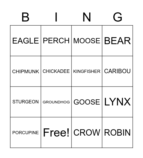 NTC VEC BINGO! Bingo Card