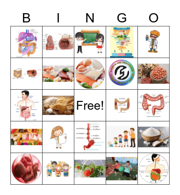 ระบบย่อยอาหาร Bingo Card