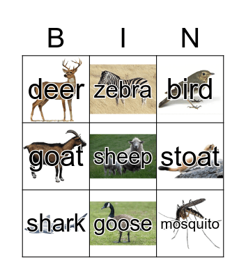 Animals Bingo Card